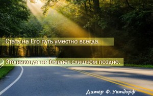 Дорога в лесу, солнечный свет.