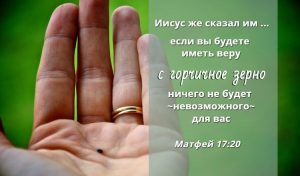 Горчичное зерно